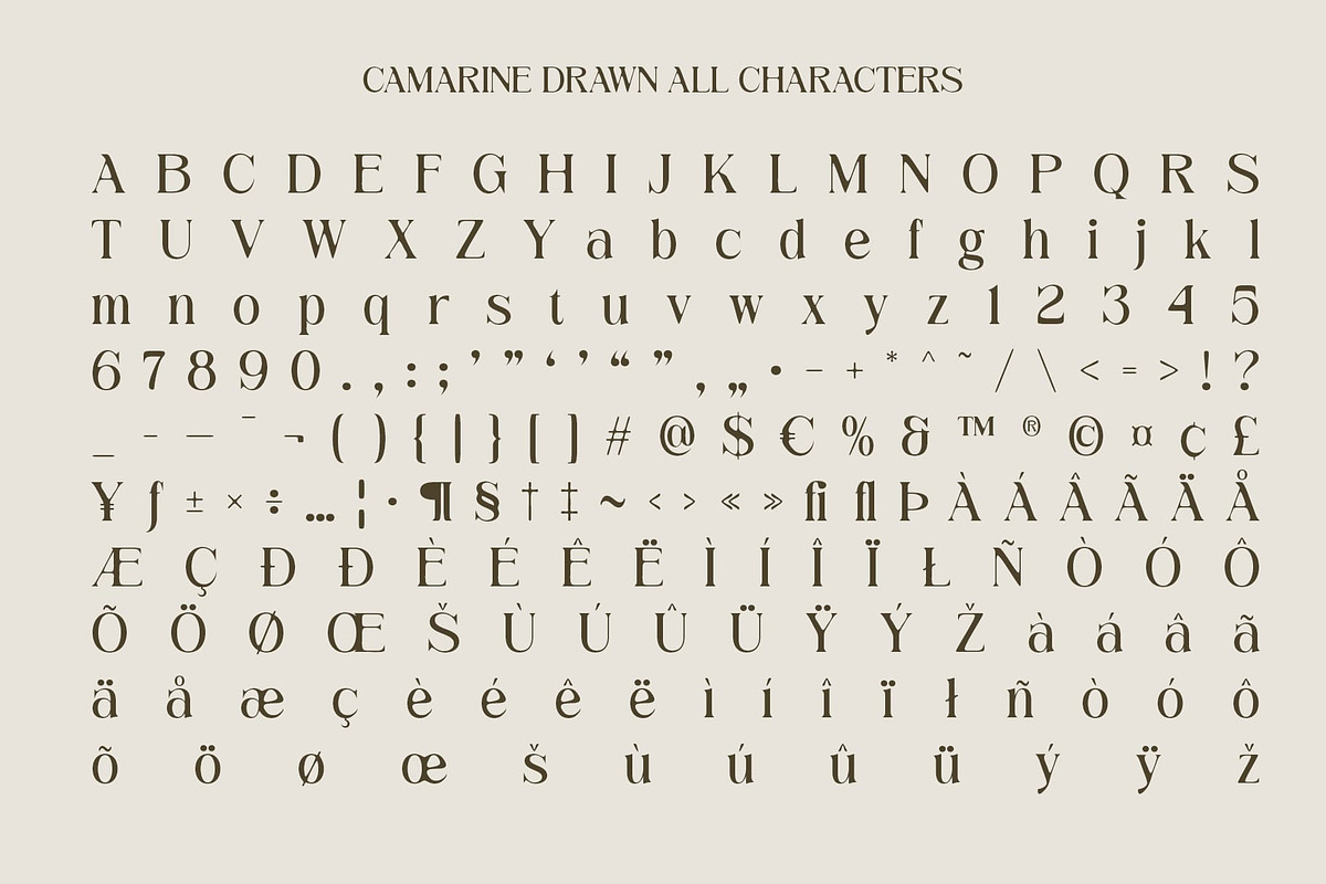 Camarine Drawn, a Serif Font by Craft Supply Co. (Photo 8 of 8)