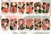 Painterly Florals, a Background Graphic by nadispasibenko (Thumbnail 5 of 9)