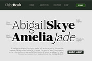 Mount Sagilite – Modern Serif Family, a Serif Font by Afkari Studio (Thumbnail 8 of 12)