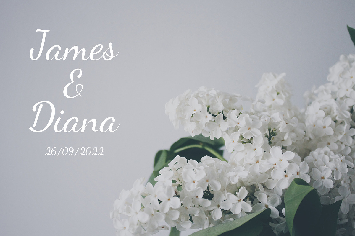Bellaif | modern handwritten font, a Script Font by Lightsense (Photo 5 of 10)
