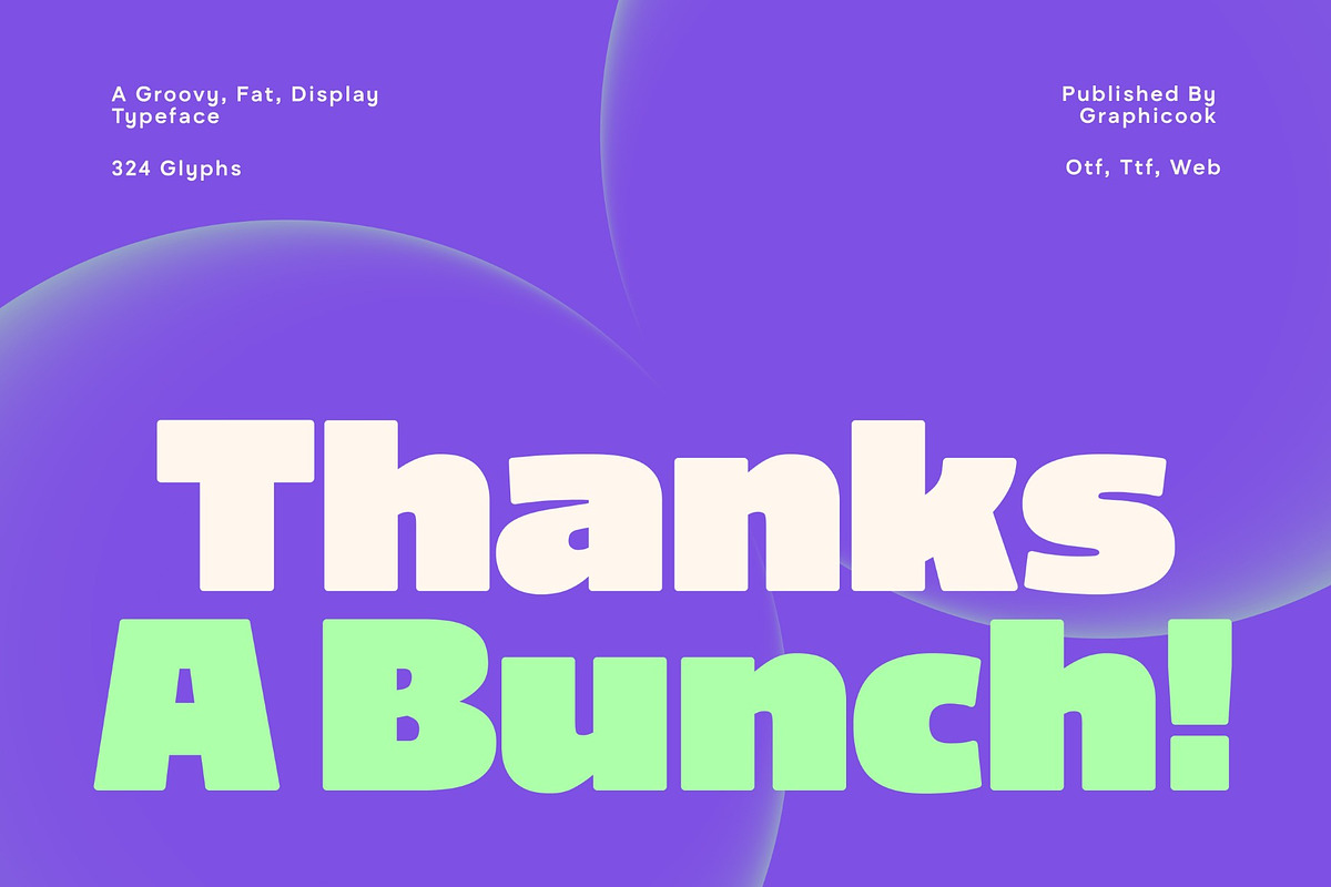 Vlafien, a Sans Serif Font by graphicook (Photo 10 of 10)