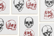 Skull Reader Illustration Bundle, an Illustration by Tekuni (Thumbnail 7 of 13)