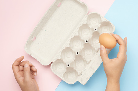 Hand hold whole brown chicken egg an featuring hand, hold, and animal, a Food & Drink Photo by ndanko