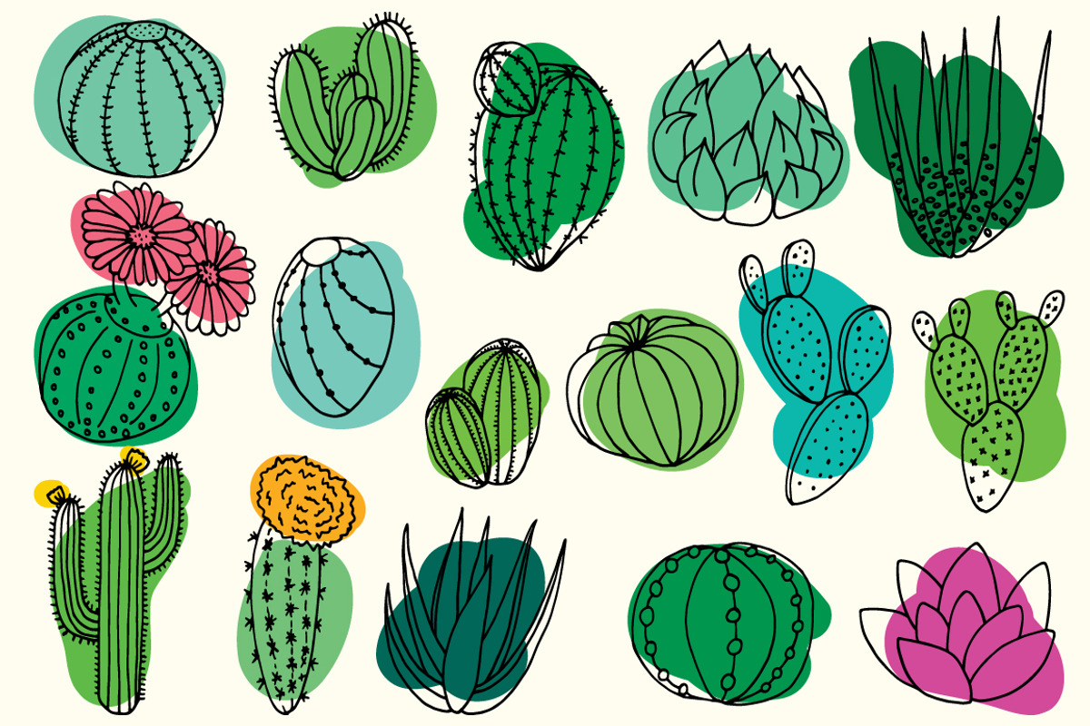 20 hand drawn cactuses & succulents, a Decorative Illustration by pixelwerk (Photo 3 of 5)