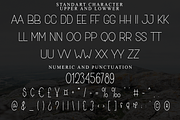 Humanity, a Sans Serif Font by FreshTypeINK (Thumbnail 6 of 8)