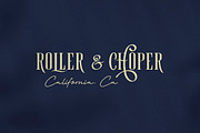 Roller Coaster Serif (Bonus), a Serif Font by Anxiety Studio (Thumbnail 8 of 19)