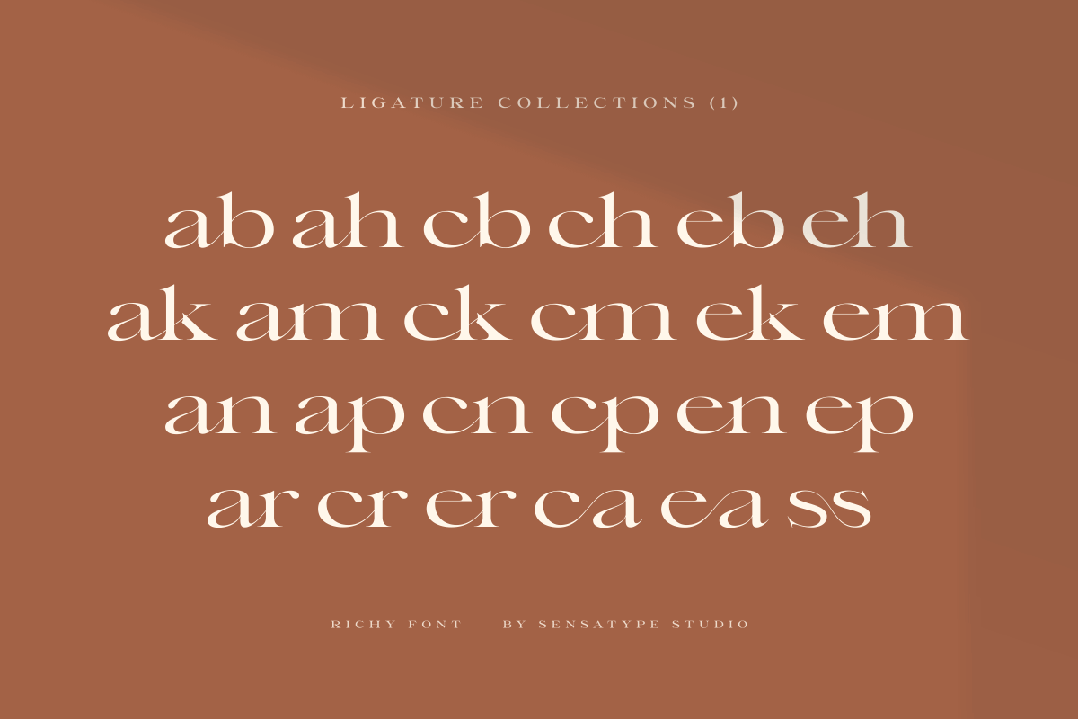 Richy - Unique Chic Font, a Serif Font by Sensatype (Photo 5 of 21)