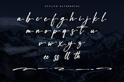 Nassbreng - Handbrush Script Font, a Script Font by Sealoung (Thumbnail 10 of 10)