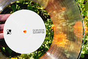 Wax Flowers Mockup Collection, a Packaging Mockup by Glue Lab (Thumbnail 3 of 5)