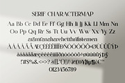Gaston Honey - A New Font Duo, a Serif Font by Ermedia Studio (Thumbnail 8 of 10)
