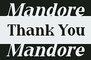 Mandore - A Modern Serif, a Serif Font by Marvadesign (Thumbnail 7 of 7)