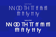 Clairo Sans, a Sans Serif Font by Flawless And Co (Thumbnail 9 of 10)