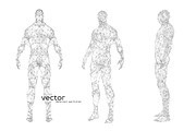 Vector illustration of human body, a Technology Illustration by Julvil (Thumbnail 2 of 2)