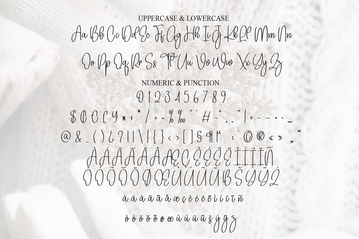 Embroidery Winter | Script Font, a Handwritten Font by Scratchones (Photo 7 of 8)