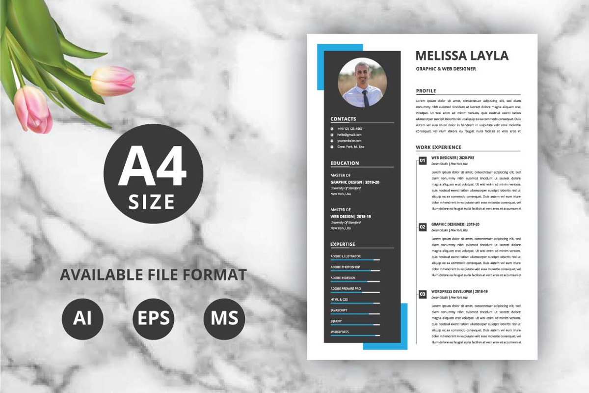 Modern Resume / Cv Design Template, a Resume Template by Pixel Pro (Photo 1 of 3)