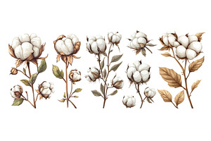 Cotton plants cartoon vector set, an Object Illustration by Onyx