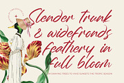 Whadrat Chothelis Modern Brush Font, a Script Font by Letterena Studios Script (Thumbnail 10 of 20)