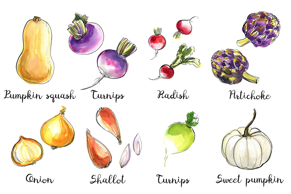 Food watercolor. Vegetables, a Food Illustration by irina.vaneeva (Photo 8 of 25)