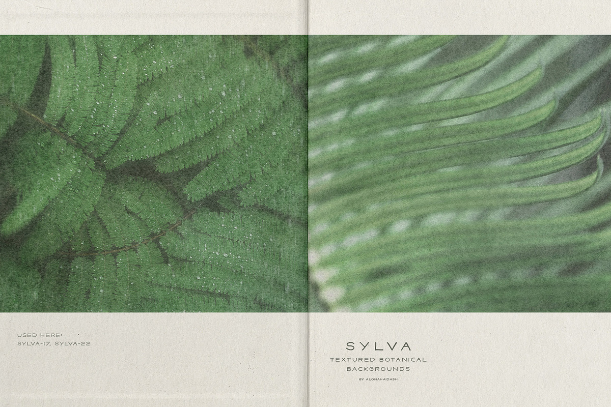 Sylva Textured Botanical Backgrounds, a Background Graphic by alonahaidash (Photo 12 of 15)