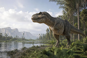 T-Rex in Prehistoric Forest, an Animal Photo by Hamza067 (Thumbnail 2 of 3)