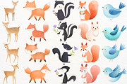 Spring Woodland Animals Clipart PNG, an Animal Illustration by SugarCloudStudioArt (Thumbnail 3 of 8)