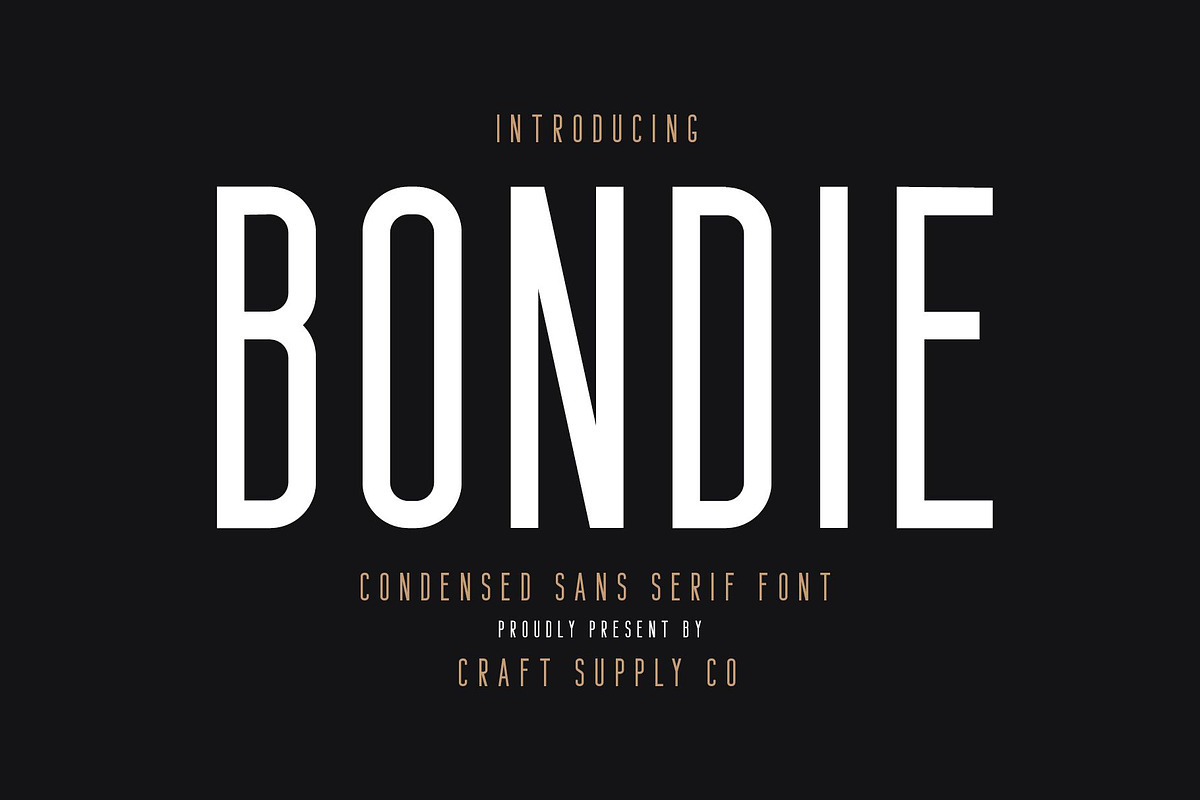 Bafora - SVG Font + Bonus, a Script Font by Craft Supply Co. (Photo 13 of 15)