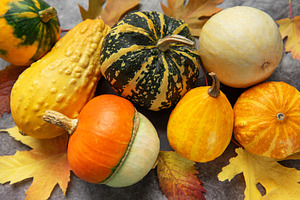 Decorative gourds and autumn leaves reflecting harvest season, a Food & Drink Photo by Olena Rudo