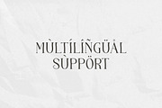 Maglift serif 200+ ligature collecti, a Serif Font by suhadidesign (Thumbnail 9 of 11)