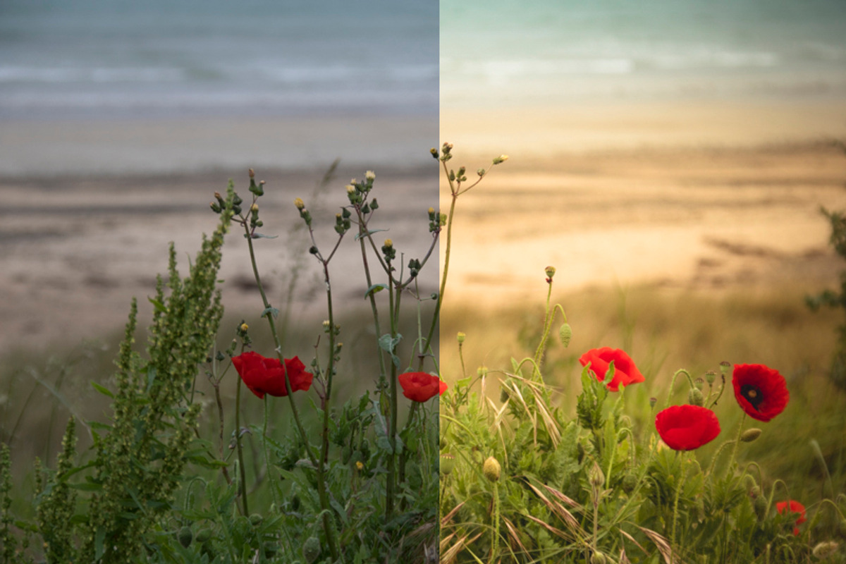 Impressions 10+2 Fineart LR Presets preview 4