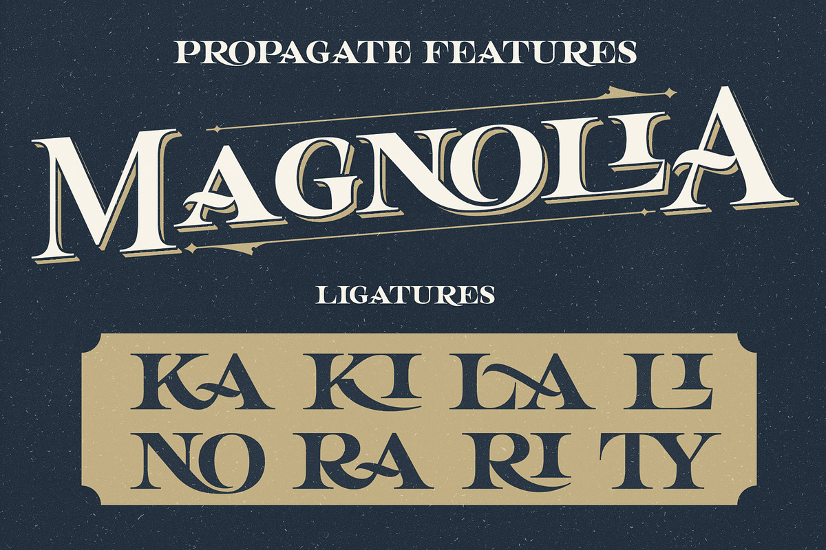 Propagate - Vintage Serif, a Sans Serif Font by Graptail (Photo 7 of 12)
