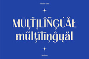 FIBULAR SANS - Variable Display Type, a Sans Serif Font by Artflorara (Thumbnail 17 of 23)