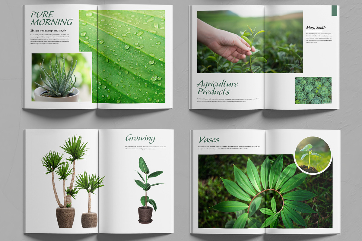 Botanical Portfolio Layout, a Brochure Template by MightyDesign (Photo 2 of 7)