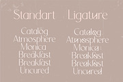 Orchid Sans Serif Font Family, a Sans Serif Font by Anna Zakharchenko (Thumbnail 11 of 12)