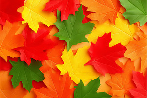 A close-up photograph of a fall leaf, a Nature Photo by ZinetroN
