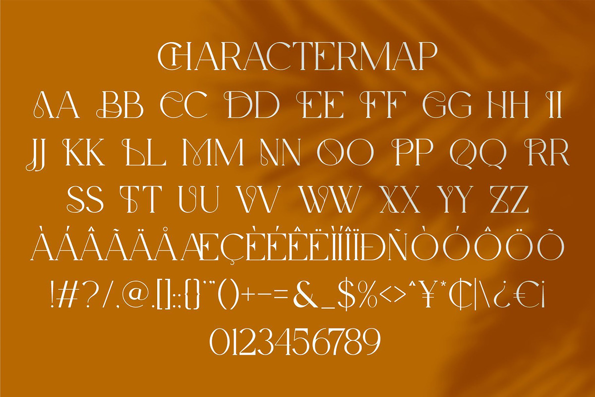 Rilezt || Modern Classy Serif Font, a Serif Font by Ermedia Studio (Photo 10 of 10)