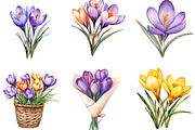 Watercolor Crocus Flowers Clipart, an Illustration by Designking (Thumbnail 2 of 5)