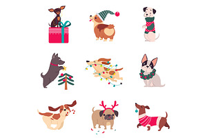 Funny Dogs With Christmas Symbols