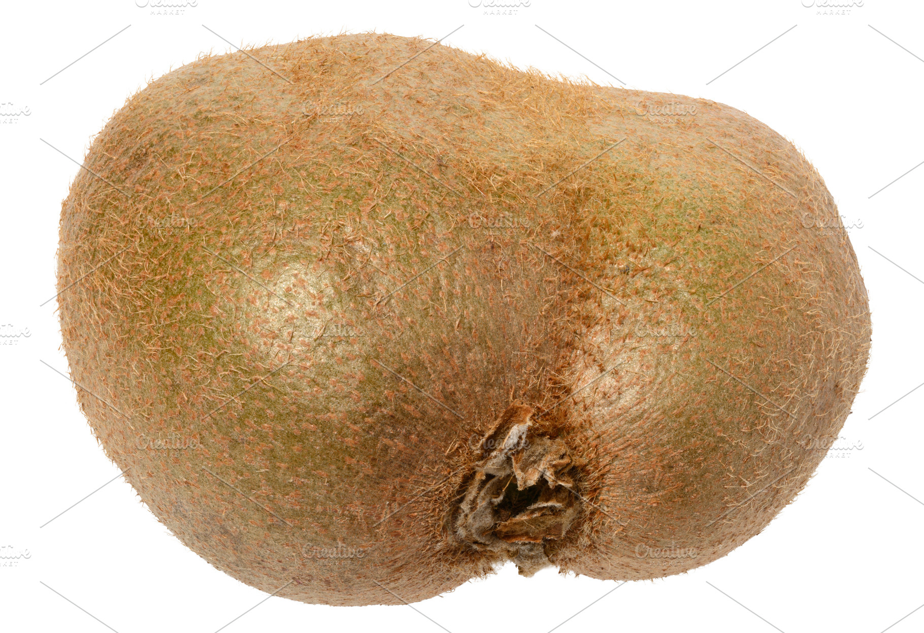 Whole ripe kiwi on isolated background, a Food & Drink Photo by ndanko