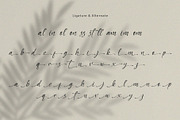 Qallies – Elegant Handwritten Font, a Handwritten Font by BrandSemut (Thumbnail 11 of 11)