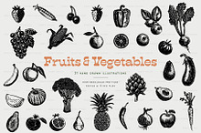 Fruit and Vegetable Illustrations by  in Illustrations