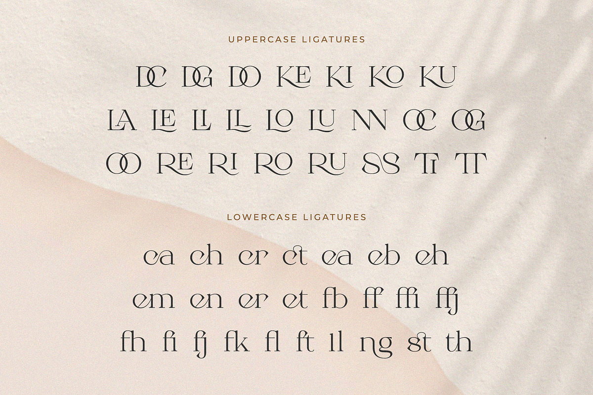 Roman Sophisticated Font Duo, a Serif Font by BrandSemut (Photo 18 of 20)