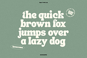 TAN - SONGBIRD, a Font by TanType (Thumbnail 9 of 16)