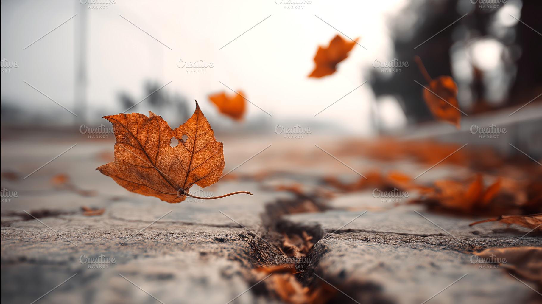 Autumn Leaves in Motion: Capturing the Serene Dance of Fall Foliage on a Cobble, a Nature Photo by Ocean Digital Art