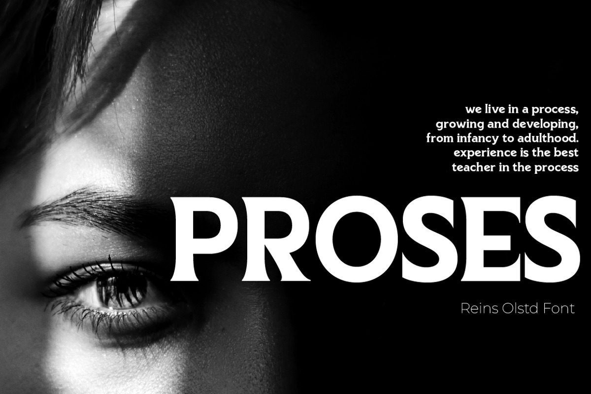 REINS Olstd - Display Serif, a Serif Font by Olexstudio (Photo 3 of 6)