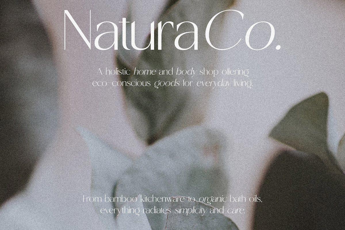 Shoreline - Classical Sans Serif Duo, a Sans Serif Font by Misha Sova (Photo 3 of 11)