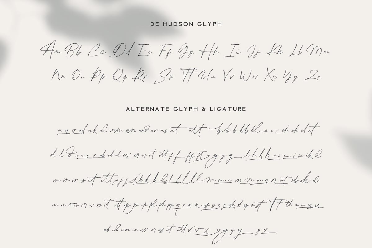 De Hudson, a Script Font by vuuuds (Photo 13 of 14)
