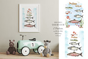 Life Cycle Watercolor Collection, an Education Illustration by MayaNavits (Thumbnail 5 of 12)