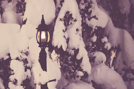 Lamppost In The Snow