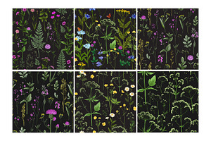 Wild Herbs. Wildflowers Pattern