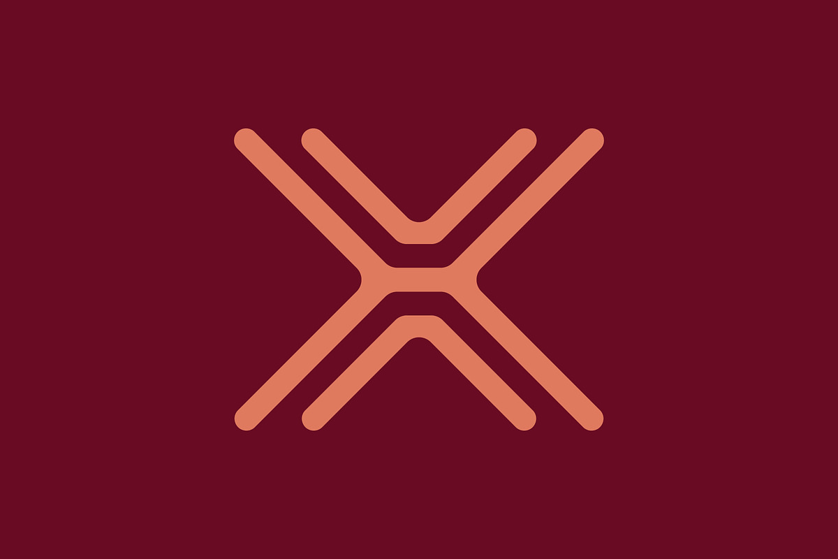 x letter logo design, a Branding & Logo Template by Salman Shop (Photo 2 of 4)